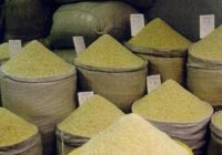 برنج پایین‌تر از هزینه تولید خریداری می‌شود/ دستگاه‌های دولتی برای مصرف روزانه کارمندان خود از برنج وارداتی استفاده می‌کنند