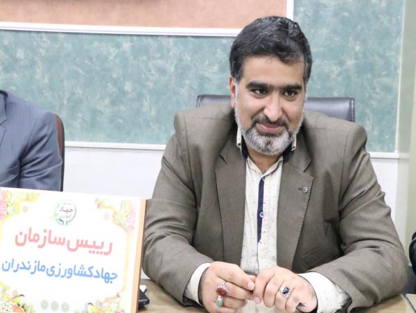 مشخص شدن قیمت خرید تامسون سر باغ / توسعه مرکبات، اولویت‌ دولت سیزدهم در مازندران