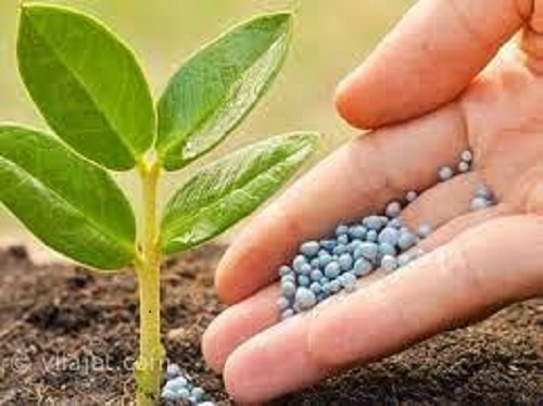 صدور ۶۱۲ هزار حواله الکترونیک توزیع کود کشاورزی در مازندران