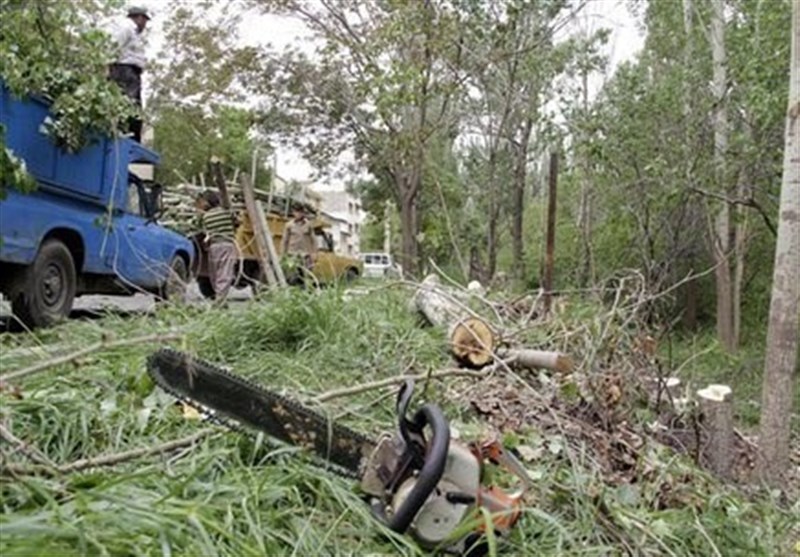 هیرکانی گرفتار بی تدبیری! / از خلاهای قانونی تا فقر فرهنگی و اقتصادی