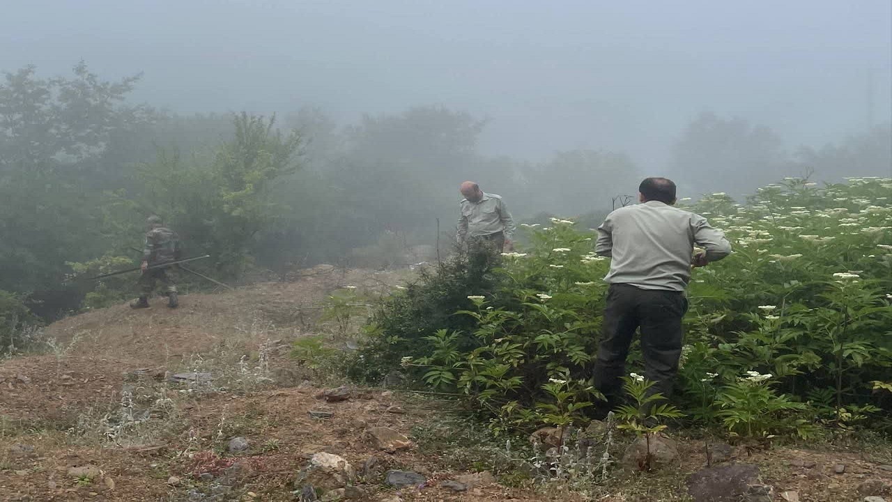 آزاد سازی بخشی از زمین ملی منطقه کندلوس از چنگال سودجویان