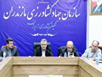 نجات کشاورزی مازندران با تمرکز برکیفیت تولیدبذر ونهال