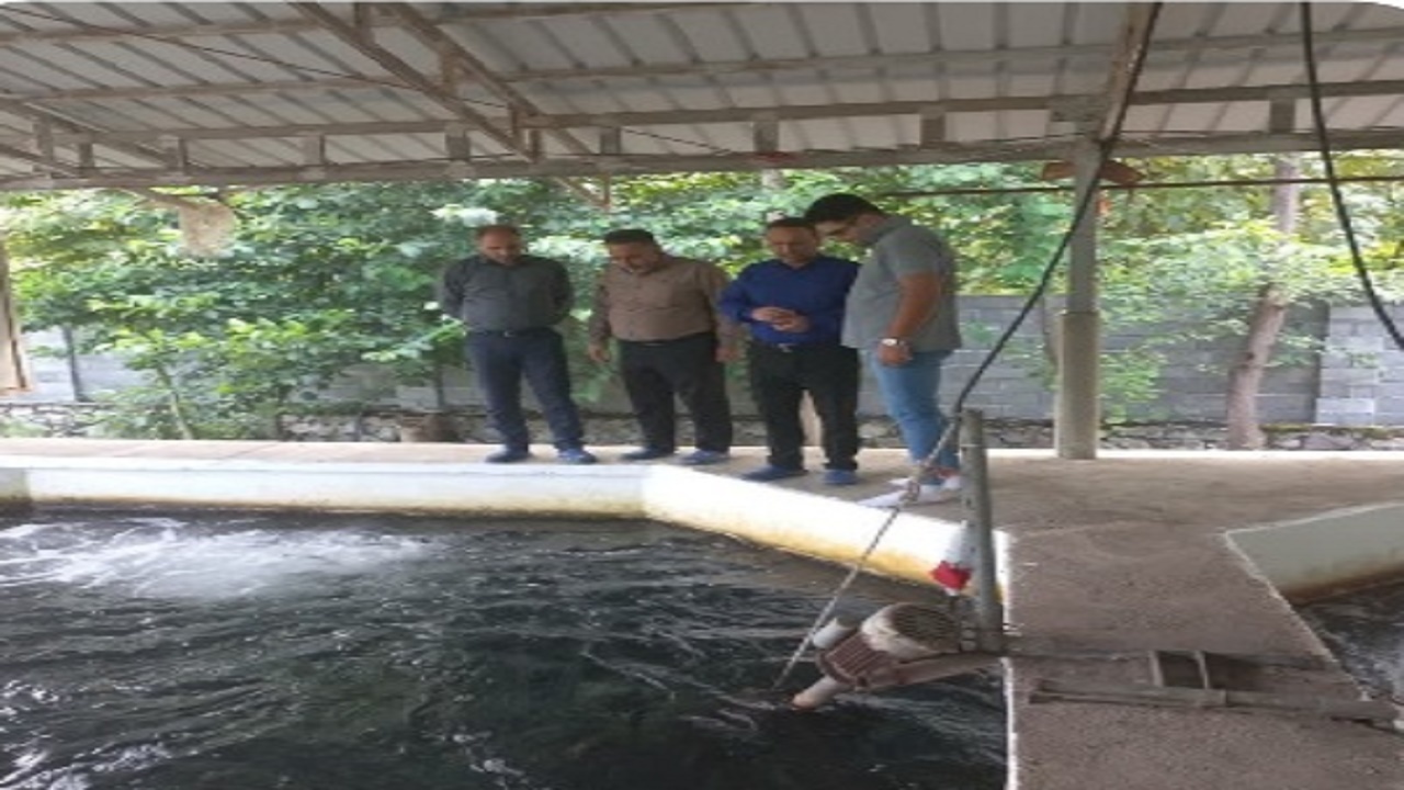 پیگیری ارائه تسهیلات خرید نهاده به آبزی پروران