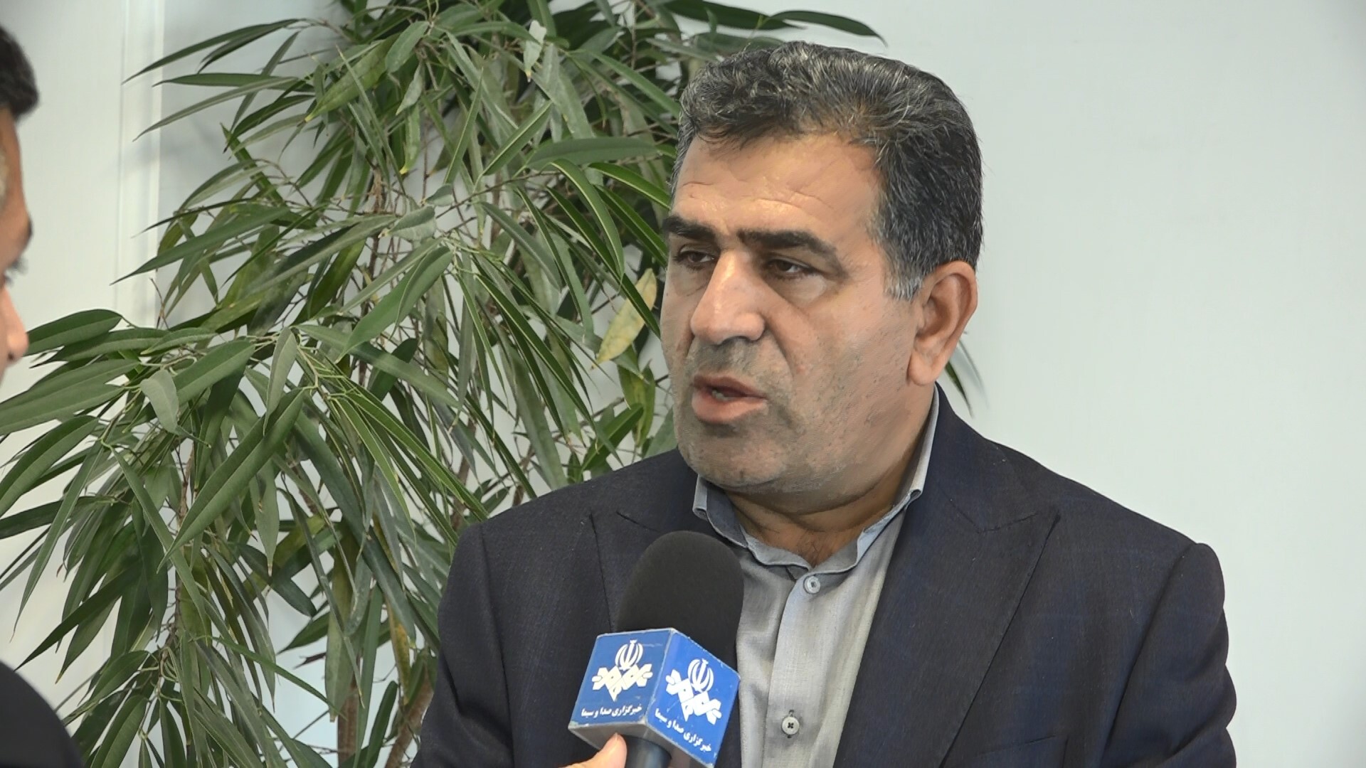 تحقق رشد ۸ درصدی اقتصادی زیر سایه منطقه آزاد