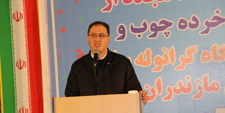 نیک نژادی به نام امید/  آینده روشن چوب و کاغذ مازندران