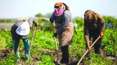 صندوق بیمه روستایی و عشایری بدنبال احیای ظرفیتهای محلی در روستاها