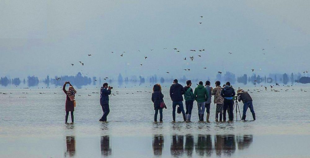 از چاله تا چاه فاصله ای نیست!/ پیشنهادات کرانه برای رونق گردشگری داخلی و خارجی