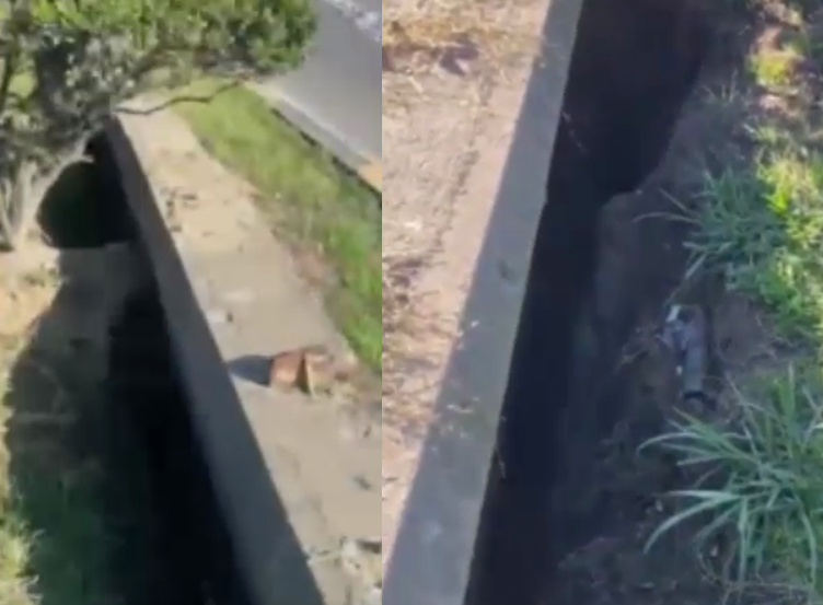 دستور ویژه دادستان و فرماندار بابل برای پیگیری مرگ بانوی بابلی