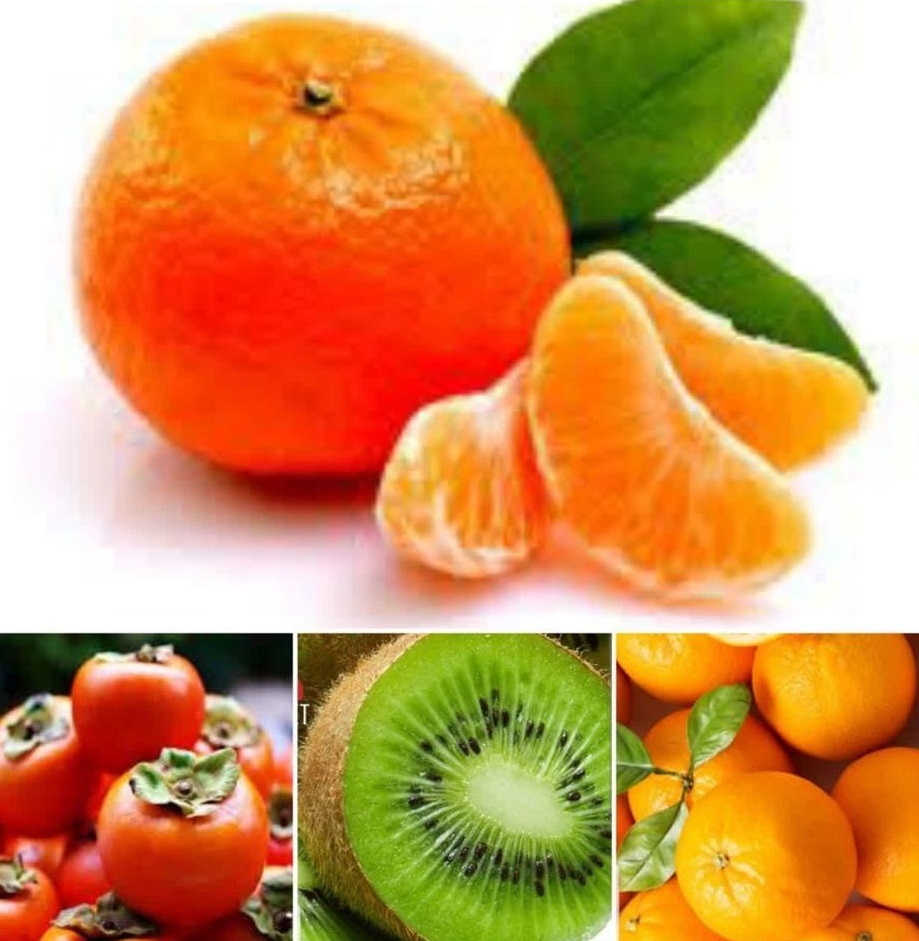 صادرات ۵ هزار تن محصولات کشاورزی از بابل به خارج کشور