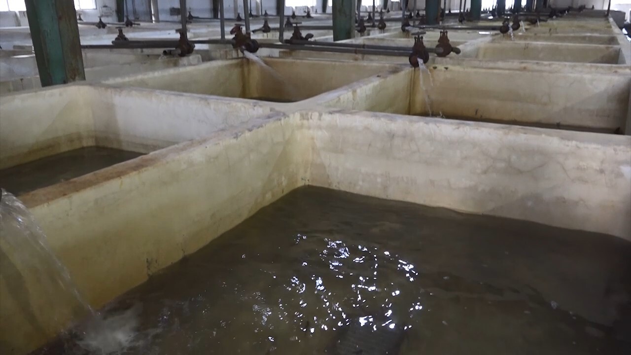 ۷۰ هزار بچه ماهی، آماده رها سازی در رودخانه‌های شیلاتی مازندران