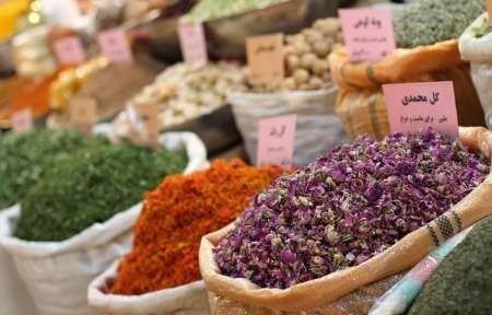 تسریع در روند توسعه کشت گیاهان دارویی