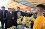 دولت از شرکت های تعاونی گل نرگس در مازندران حمایت می کند