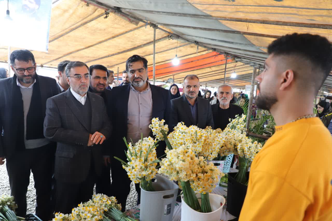 دولت از شرکت های تعاونی گل نرگس در مازندران حمایت می کند