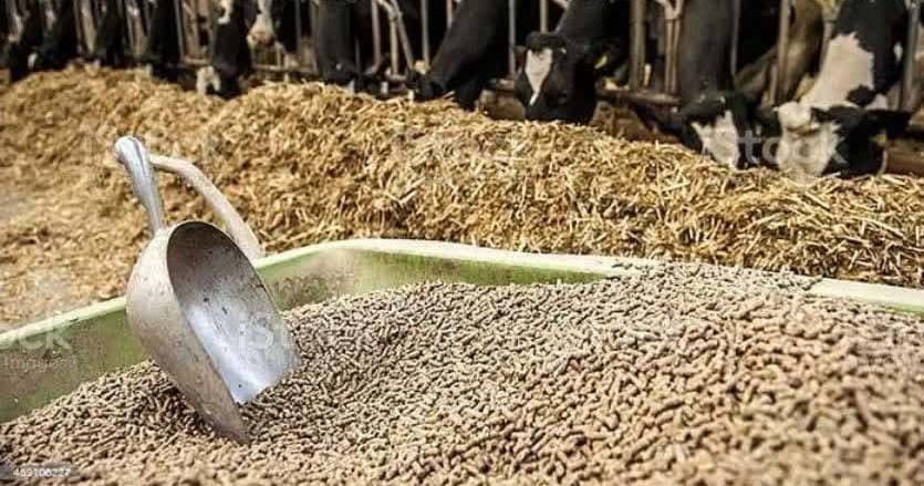 توزیع ۹۲۰ تن نهاده دامی در نور