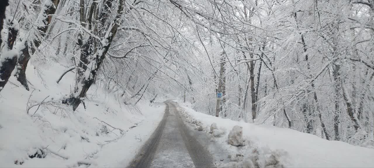 ماندگاری هوای سرد در مازندران