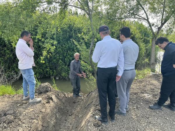 تجهیز و نوسازی ۲۵ هکتار اراضی شالیزاری ساری