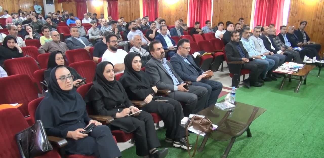 نان کامل موثر در پیشگیری از بیماریهای غیر واگیر