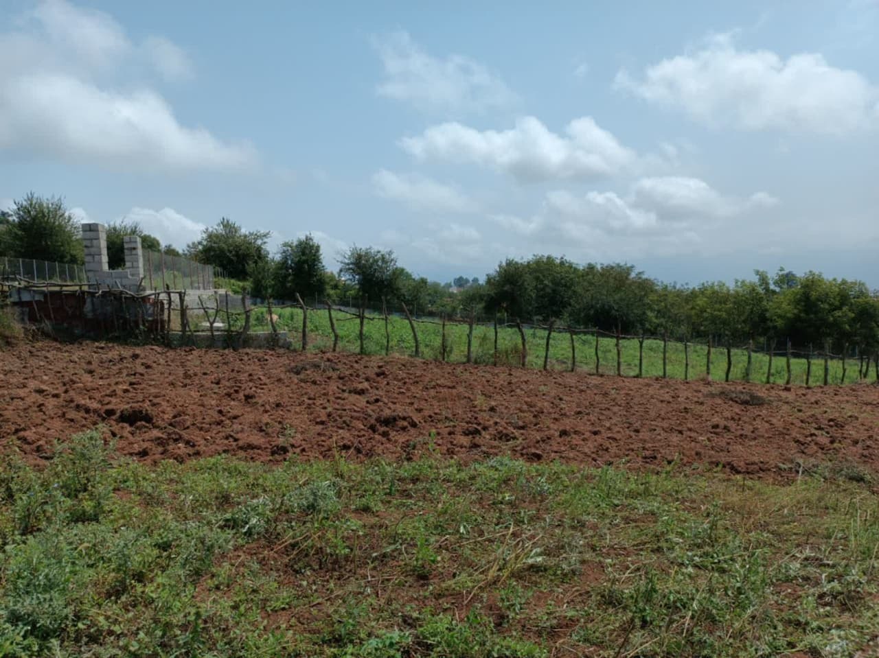 آسمان مازندران تا پایان هفته ابری با بارش پراکنده