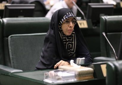 بودجه سالانه بیشتر به نفع شرکتهای دولتی طراحی شده است