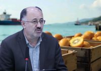 ۸۵ هزار تن محصول باغی مازندران در مسیر توسعه پایدار و صادرات